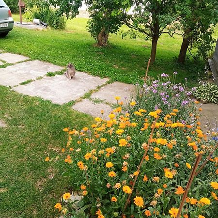 Lovas Vendeghaz Apartment Obanya Екстериор снимка