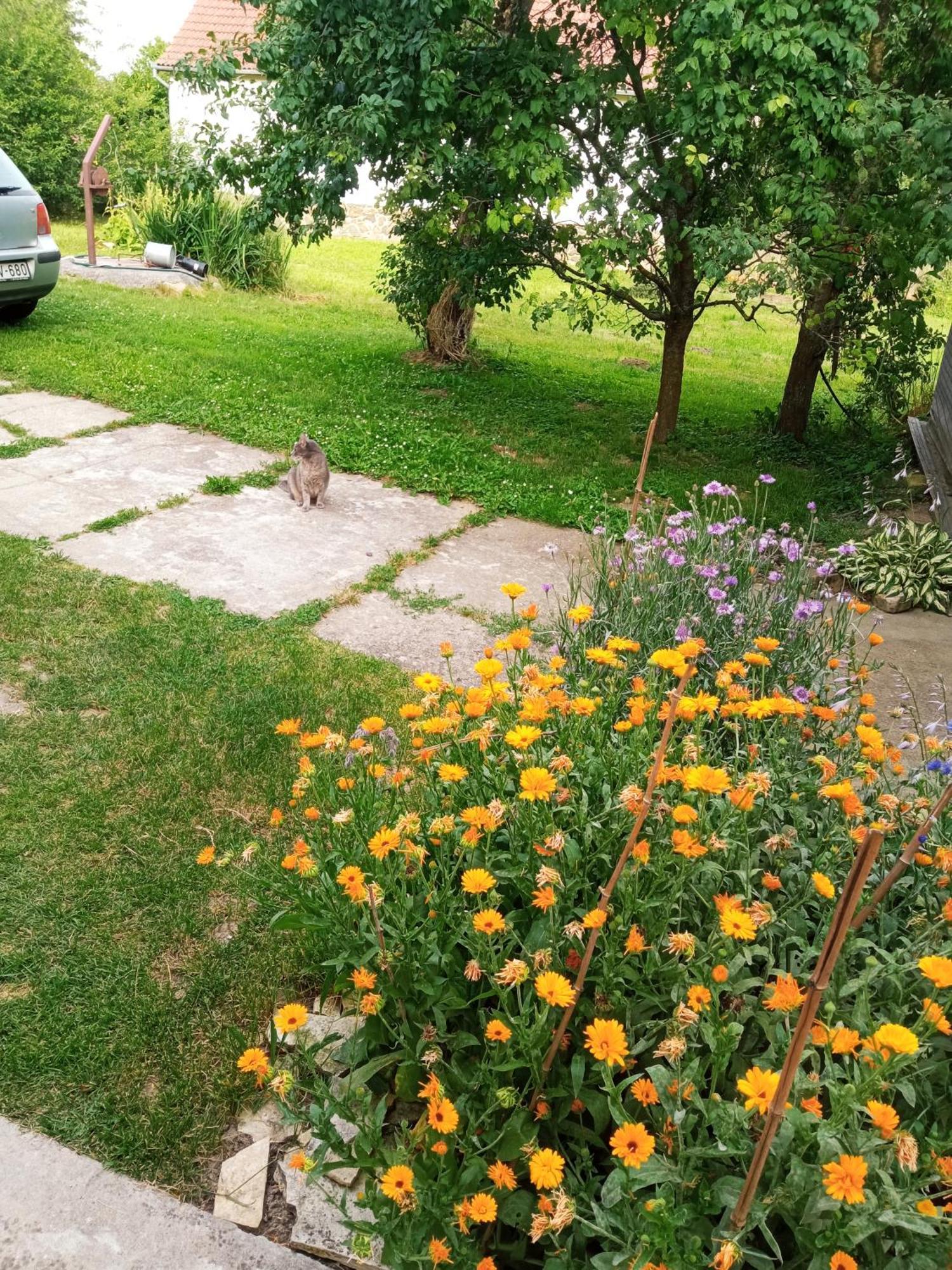 Lovas Vendeghaz Apartment Obanya Екстериор снимка